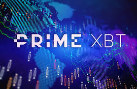 Connecting With PrimeXBT Contact Your Gateway to Trading Support Connecting With PrimeXBT Contact Your Gateway to Trading Support