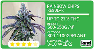 Discover the Best Marijuana Seeds in Wisconsin