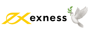 Getting in Touch Your Guide to Exness Contact