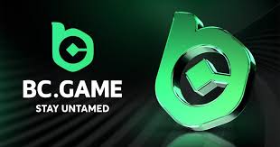 Comprehensive Guide to the BC.Game Login Process Comprehensive Guide to the BC.Game Login Process