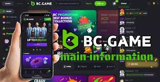 Discover the Exciting World of BC.Game Online Platform
