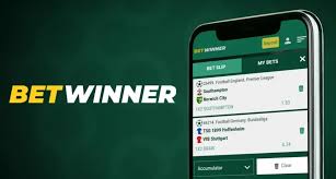 Everything You Need to Know About BetWinner -832571011 Everything You Need to Know About BetWinner -832571011