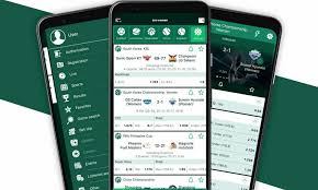 Everything You Need to Know About BetWinner -832571011 Everything You Need to Know About BetWinner -832571011